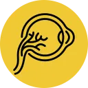 Diabetic Retinopathy