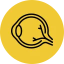 Retinal Detachment